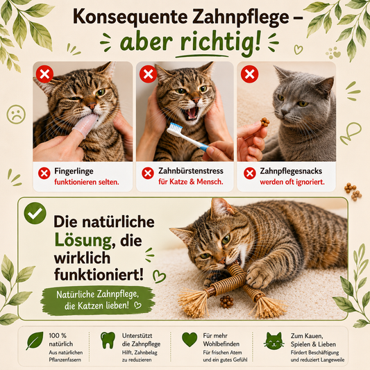MiezBiss Zahnpflege-Stick