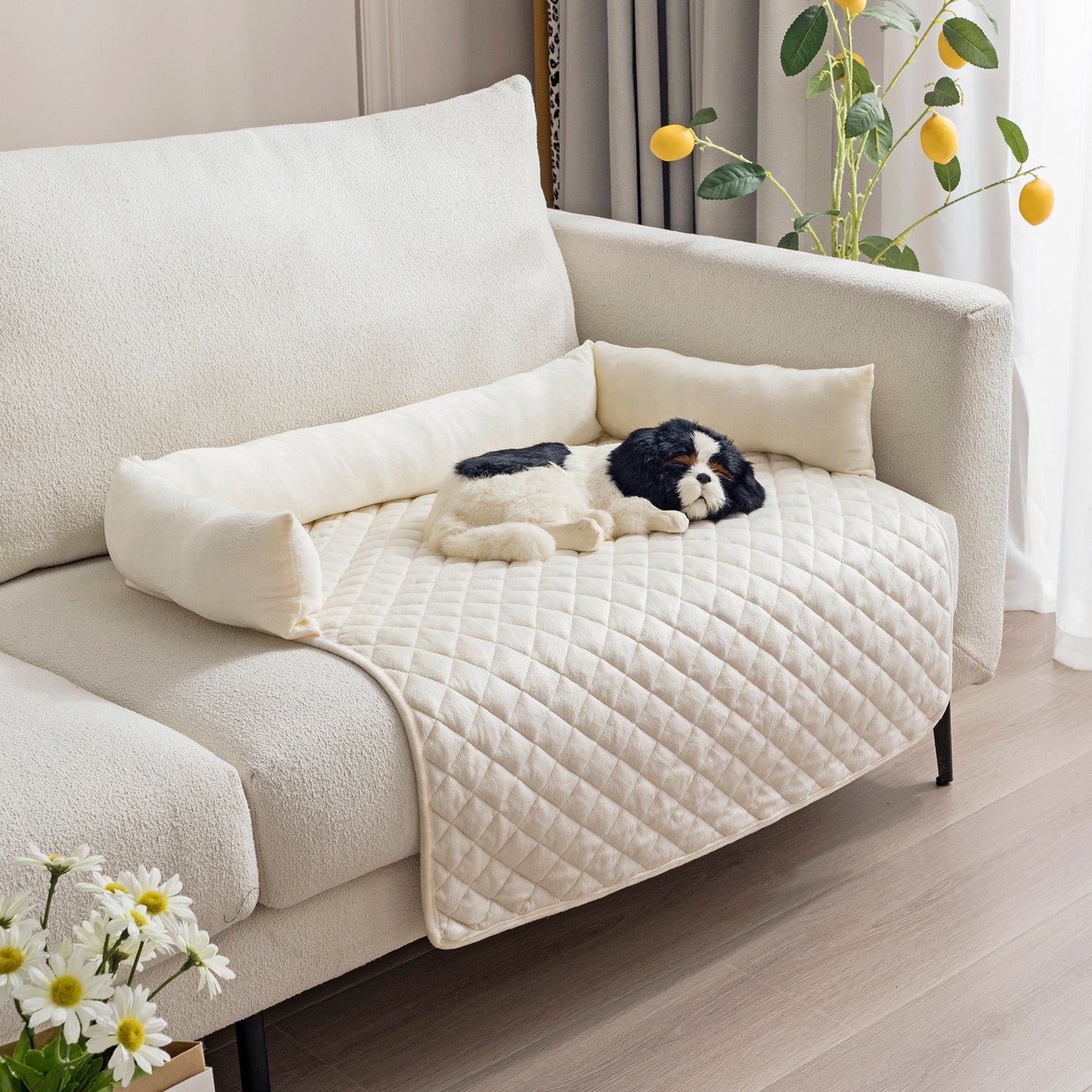 Kuschelinsel Hundesofa für Hunde & Katzen