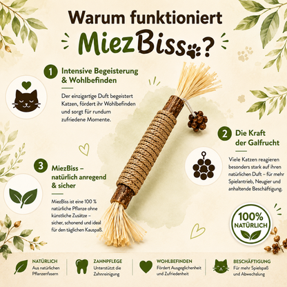 MiezBiss Zahnpflege-Stick